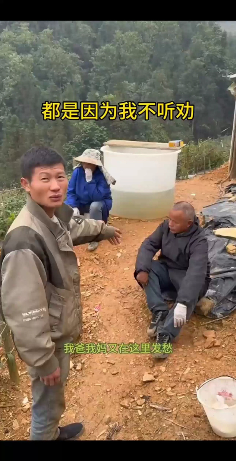 蓝莓基地对接抖音、拼多多、淘宝等平台电商代发价低货美