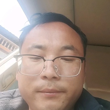 毛桃苗实生苗嫁接胚子一年生桃树苗量大从优