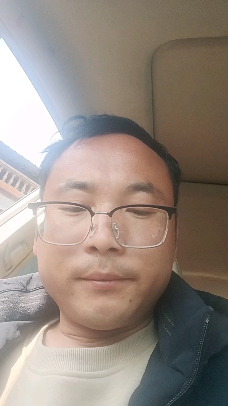 毛桃苗实生苗嫁接胚子一年生桃树苗量大从优