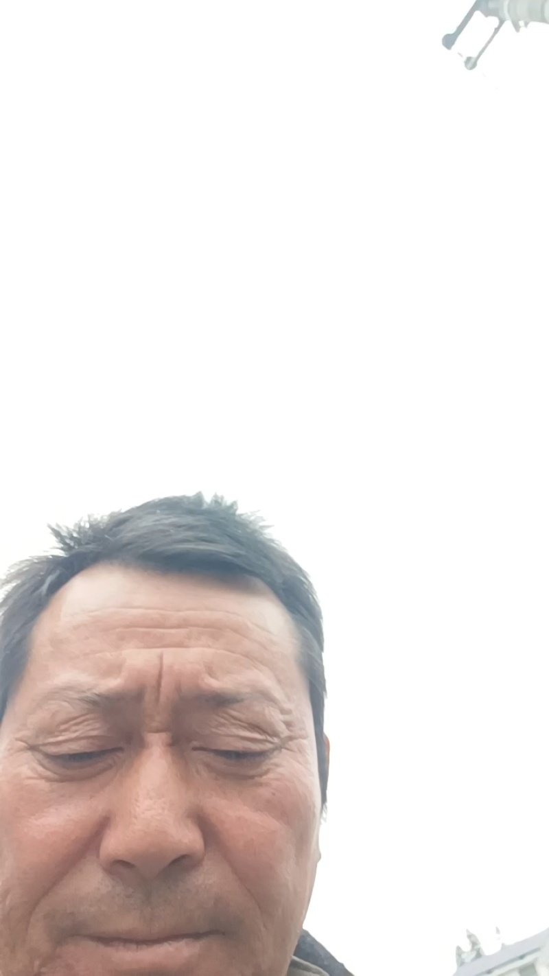 湖南精品椪柑可大量供货价格优惠皮薄水分足甜度高欢迎咨询