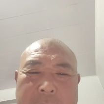 山东铁杆大葱《安丘大葱》2cm左右25~30cm产地直发