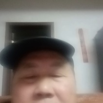 精品黄豆，作豆腐的高蛋白黄豆，大量现货，口感好出浆率高