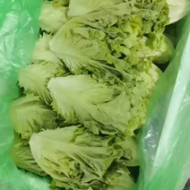 精品罗马，全国发货，欢迎联系，保质保量，价格可谈