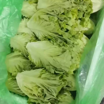 精品罗马，全国发货，欢迎联系，保质保量，价格可谈