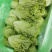 精品罗马，全国发货，欢迎联系，保质保量，价格可谈
