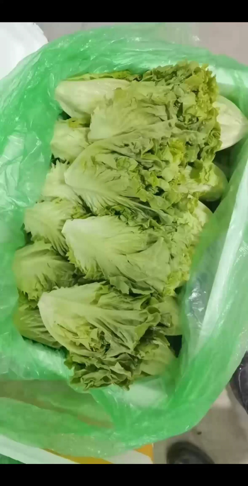 精品罗马，全国发货，欢迎联系，保质保量，价格可谈