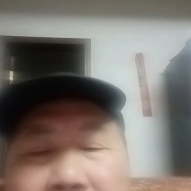 金樱子，酿酒用金樱子，药材用金樱子，大量供应全国