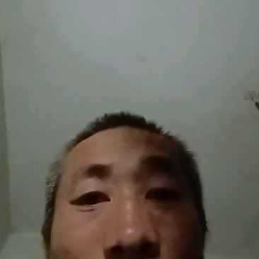 贵州纯粮包谷酒