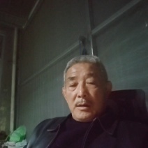 毛桃树苗（1一3年生桃树原生苗），根系完好，成活率高。