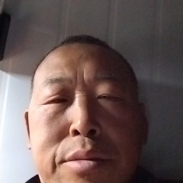 葡萄柚