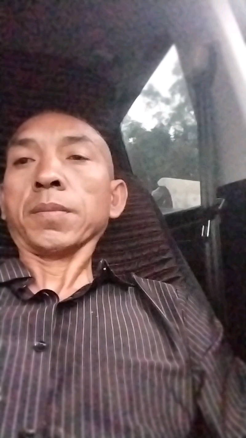 南板蓝根大量供应可视频看货欢迎来电