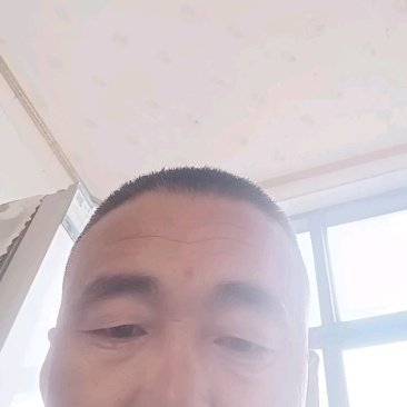 皇冠梨大量现货供应皇冠梨