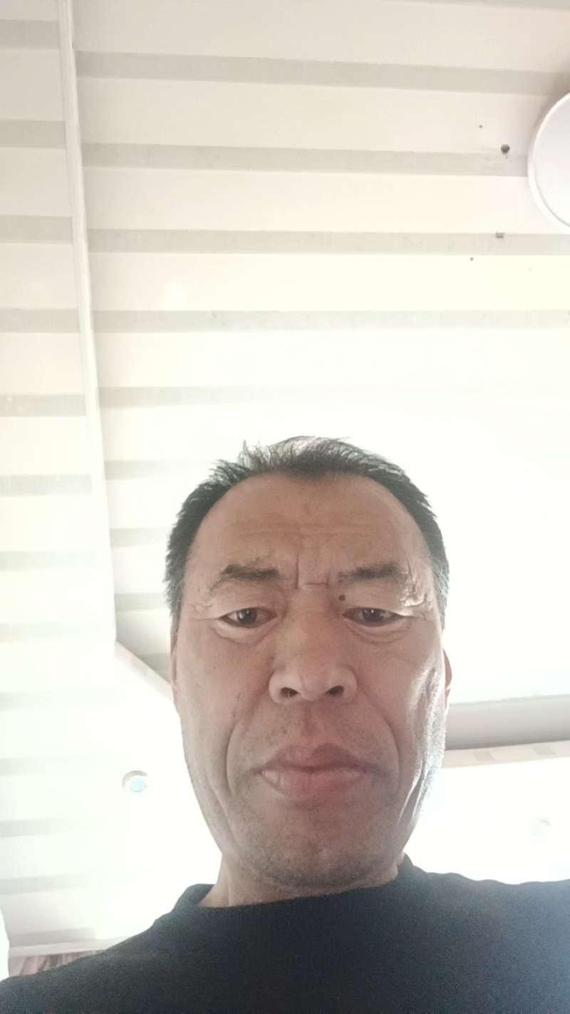 冷棚茉莉香大量现货