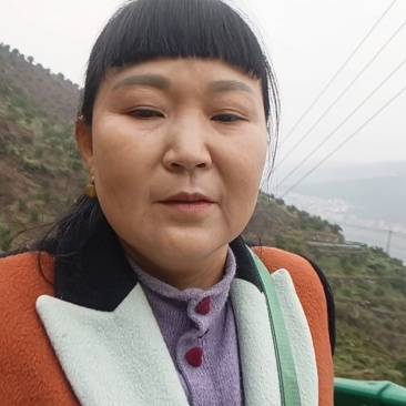纽荷尔脐橙65~70mm果园看货订价，保质保量