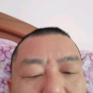 丰水梨脆冠梨黄金梨秋月梨品种齐全基地直发品保证提供技术