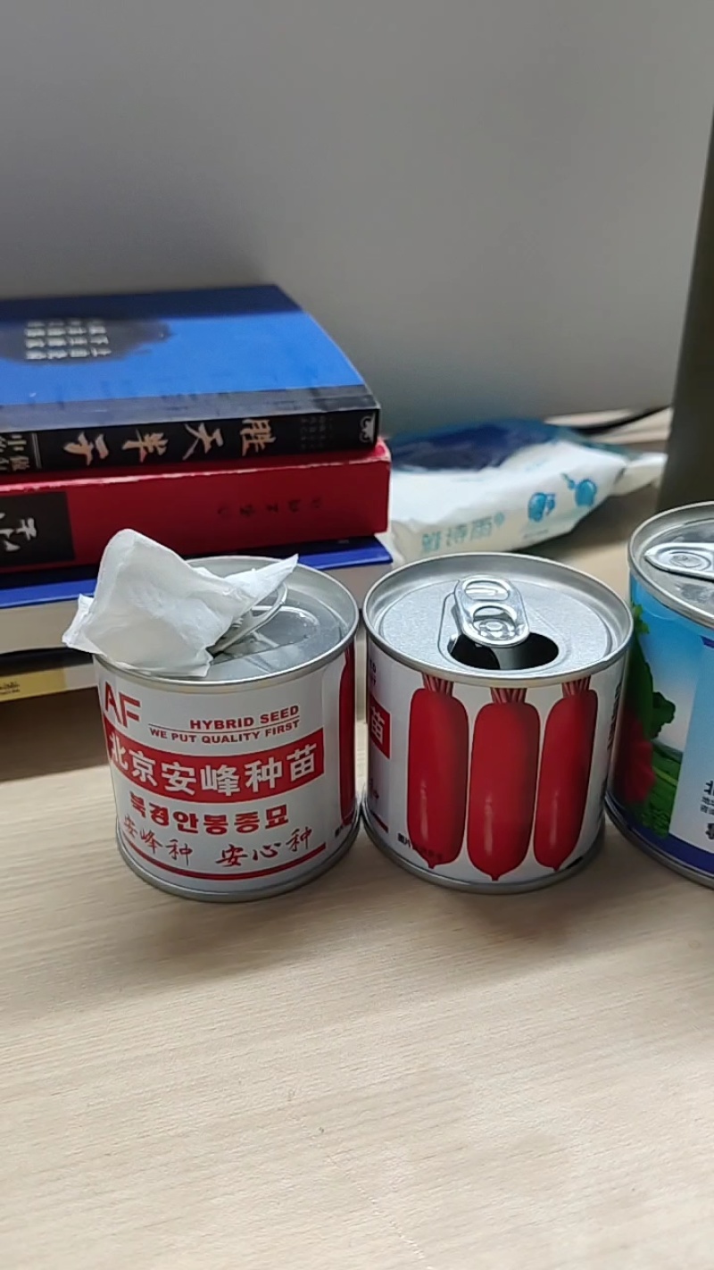 红峰一号新品大红花叶红皮萝卜种子10罐起批50克/罐