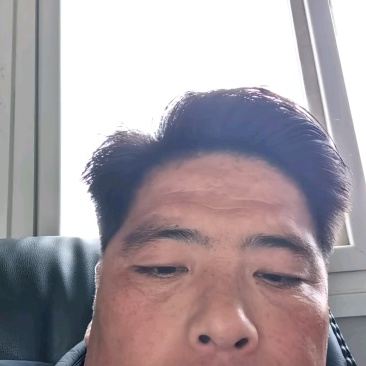 精品甘蓝