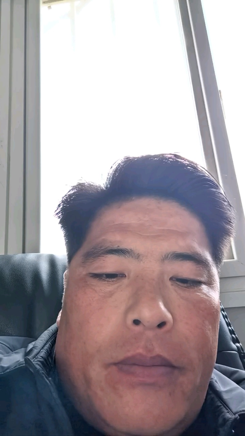 精品甘蓝