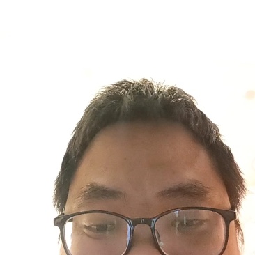 信阳毛尖