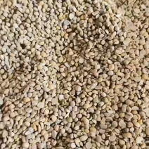 碎大豆