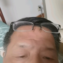 【精品栾树】6~8公分精品栾树，基地直销，成活率高。