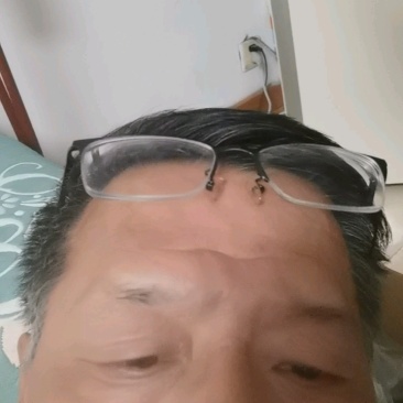 【精品栾树】6~8公分精品栾树，基地直销，成活率高。