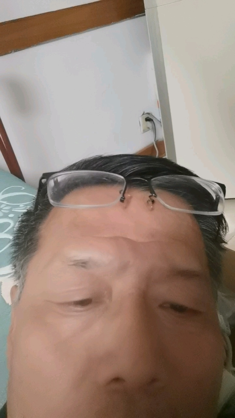 【精品栾树】6~8公分精品栾树，基地直销，成活率高。