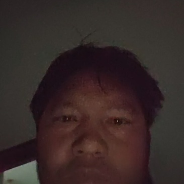 三七根