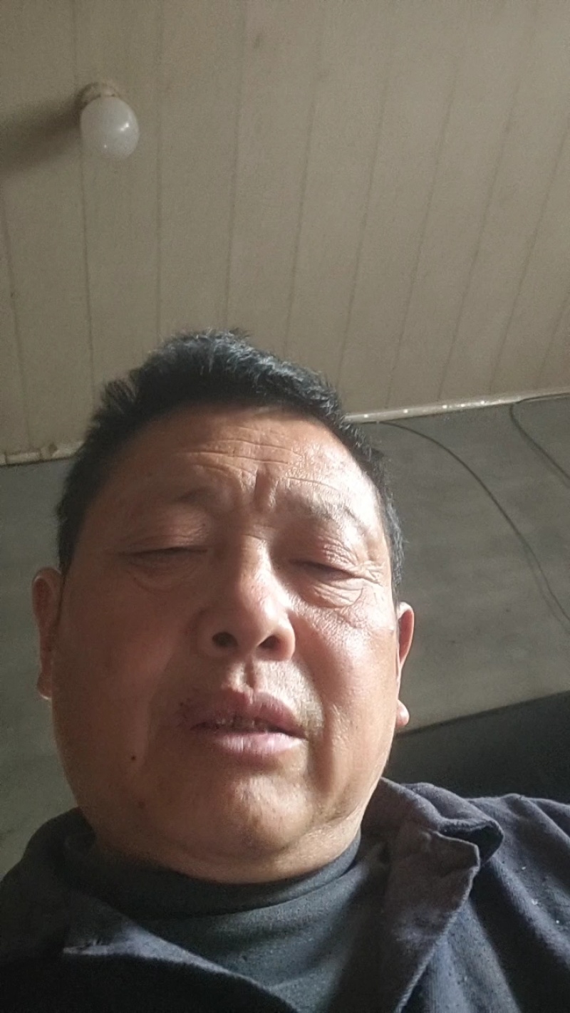 罗汉竹