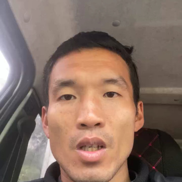 脐橙种植基地果大肉多欢迎各位老板前来选购
