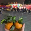 普宁市彬顺发园林绿化工程有限公司的一亩田店铺
