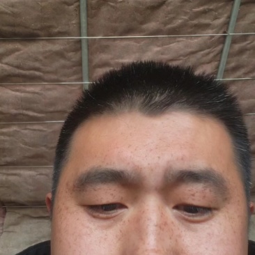 山东省日照市莒县蓝莓