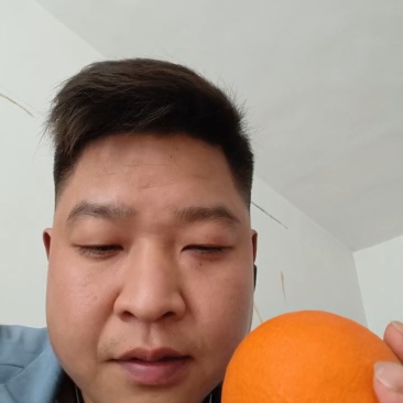 橙子二级果高次果大量供应/长虹/元红/血橙/一手货源
