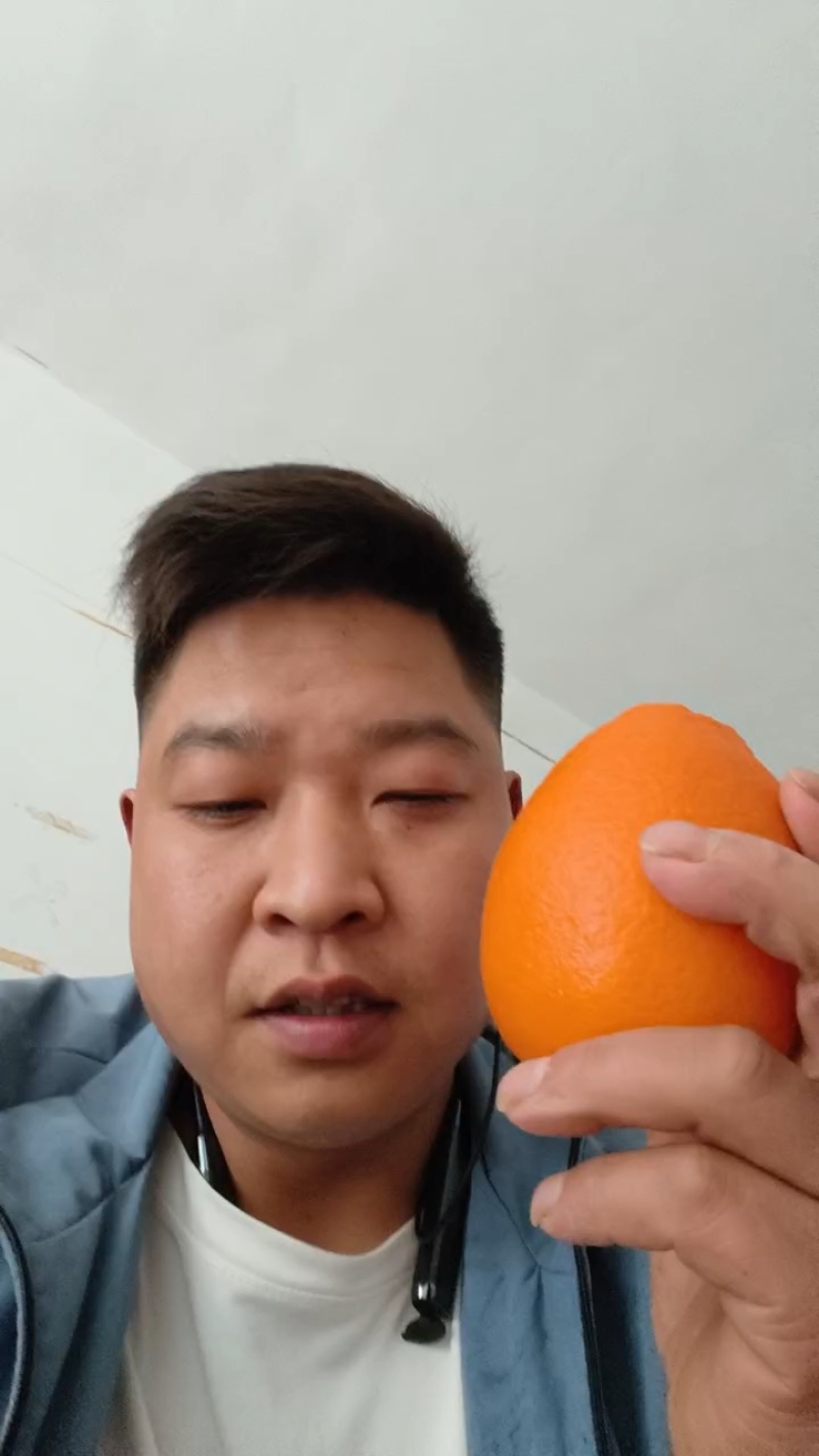 长虹脐橙鹅蛋橙纽荷尔圆红中华红棕橙/果园直供挂树鲜果