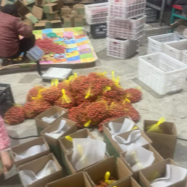 产地山楂电商货，一件代发出货中！