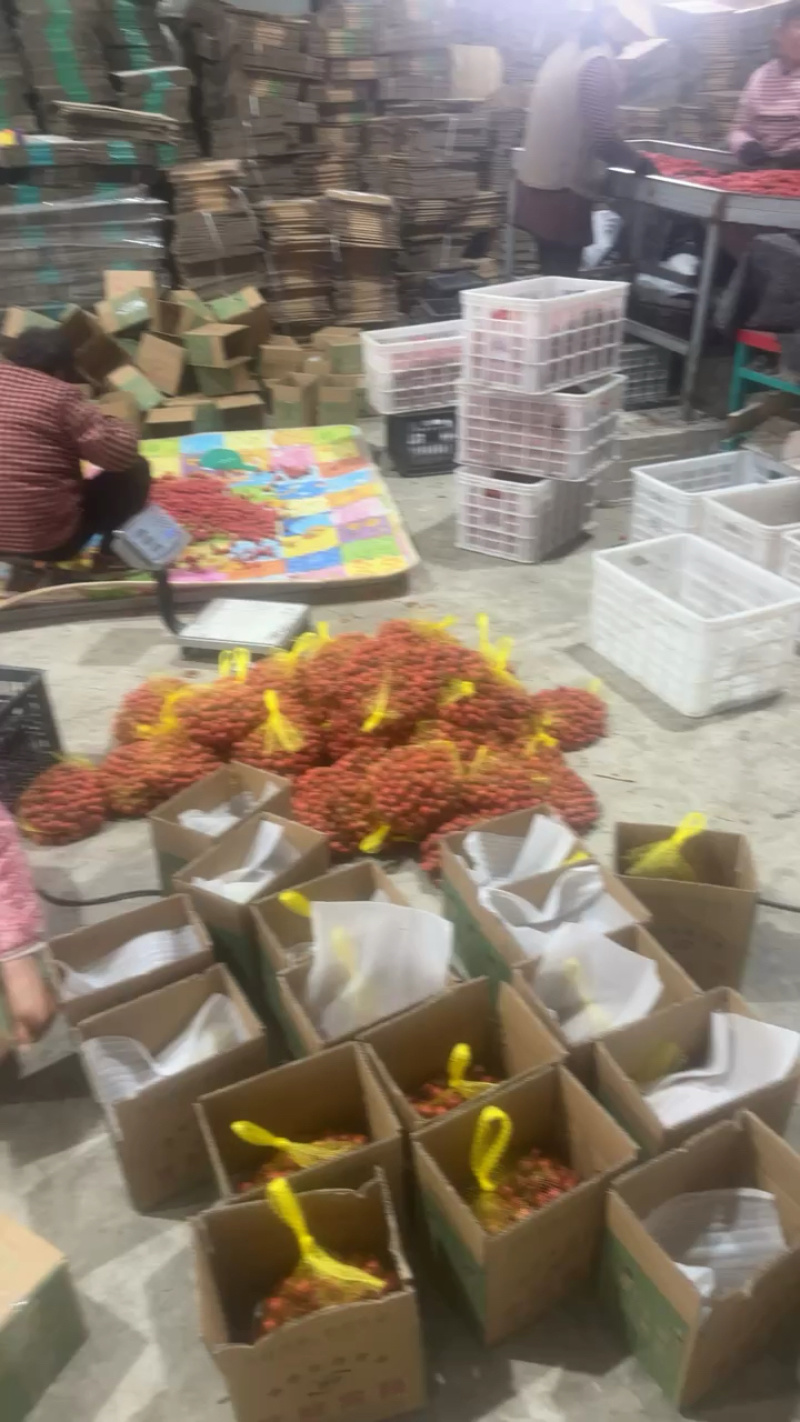 产地山楂电商货，一件代发出货中！