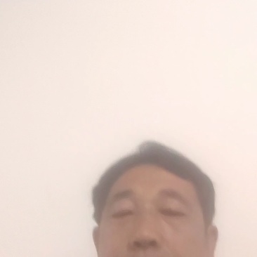河北廊坊红薯苗龙薯烟薯紫薯商薯济薯苗诚信经营