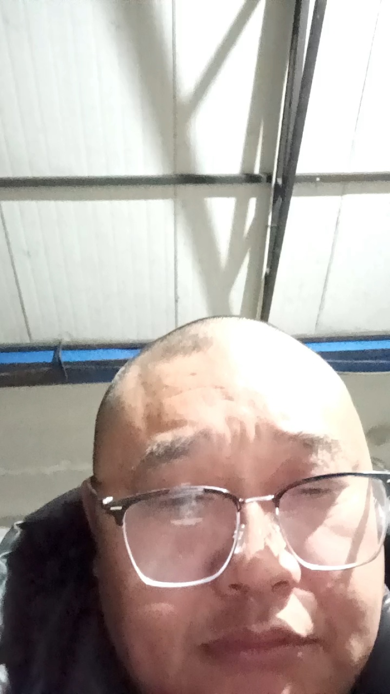 一件代发黄肉黄心奇异果四川蒲江黄金果猕猴桃