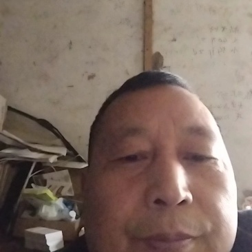 大闸蟹，大量出售，价格便宜欢迎各位老板合作规格齐全