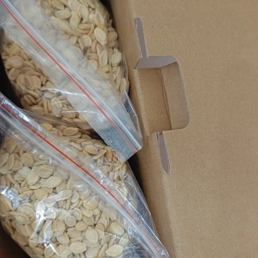 精品长白冬瓜种子指导种植协助销售成品