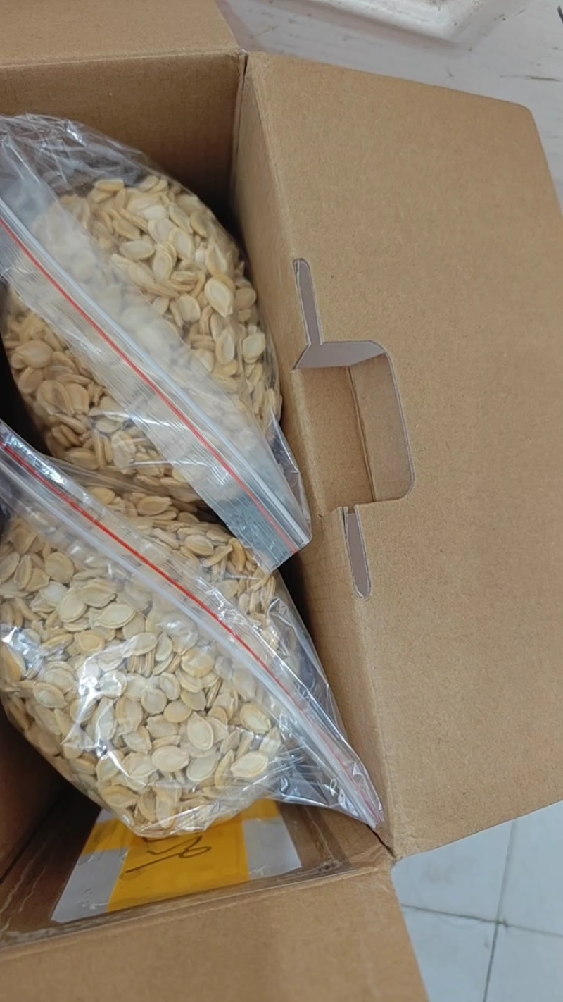 精品长白冬瓜种子指导种植协助销售成品