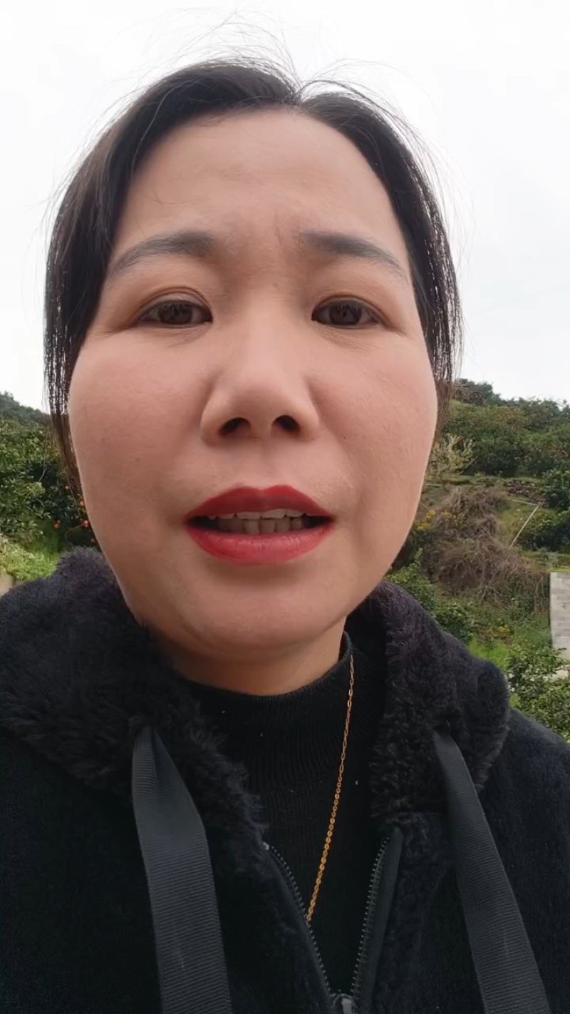 长虹脐橙产地供货口感纯甜诚信经营互惠互利