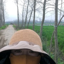 圆包菜湖北甘蓝基地发货一手货源批发品质保证价格优惠