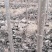 107速生杨仟插段