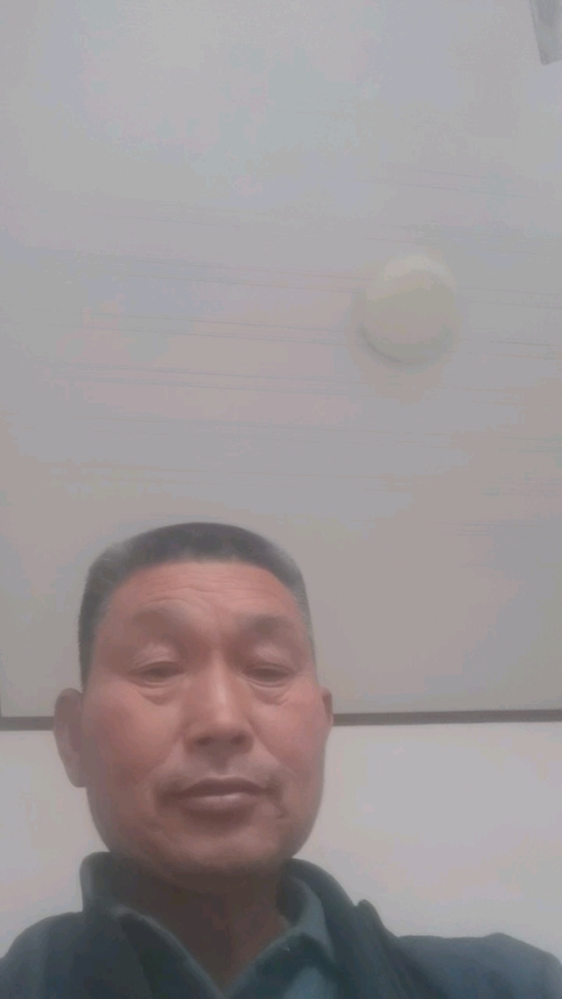 河北邯郸，香葱大量上市质量很好价格美丽，需要的老板联系