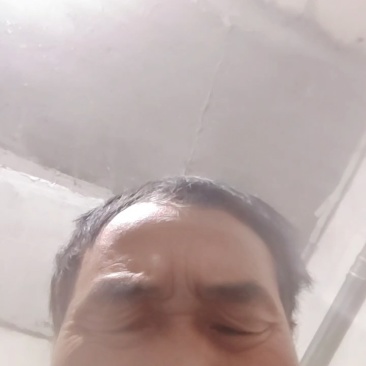 湖北恩施含硒绿茶