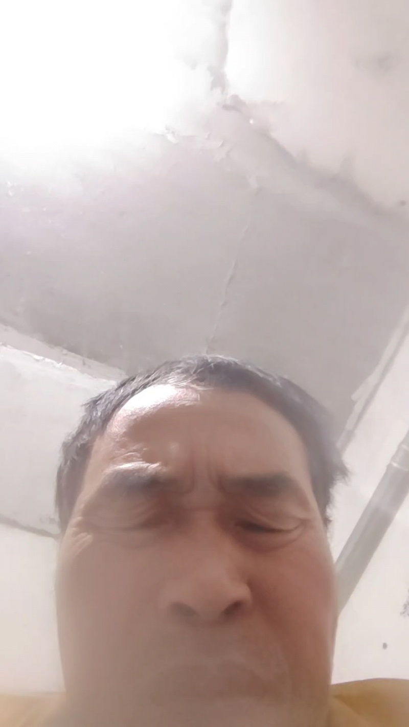 湖北恩施含硒绿茶