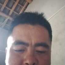 黄山笋干