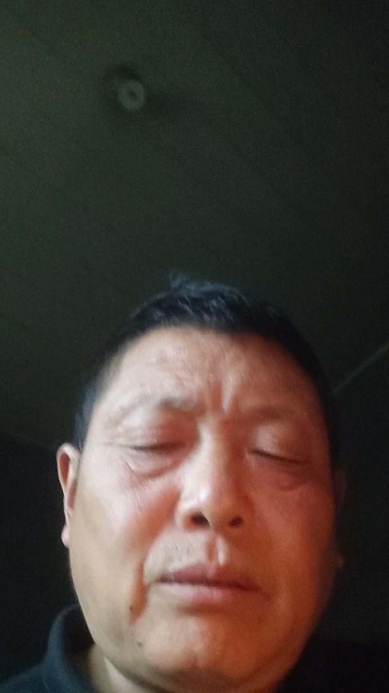 耙耙柑