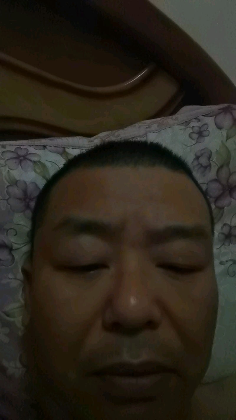 【实力推荐】蜂糖李五月脆李子苗，基地直供现挖现发品质保证